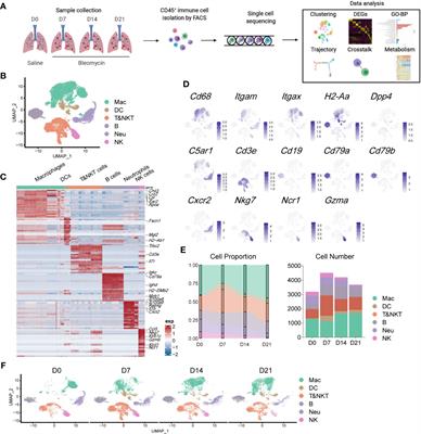 Dynamic atlas of immune cells reveals multiple functional features of macrophages associated with progression of pulmonary fibrosis